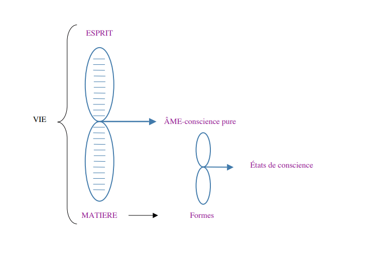 L'âme n'est ni Esprit, ni matière, mais résulte du rapport entre les deux